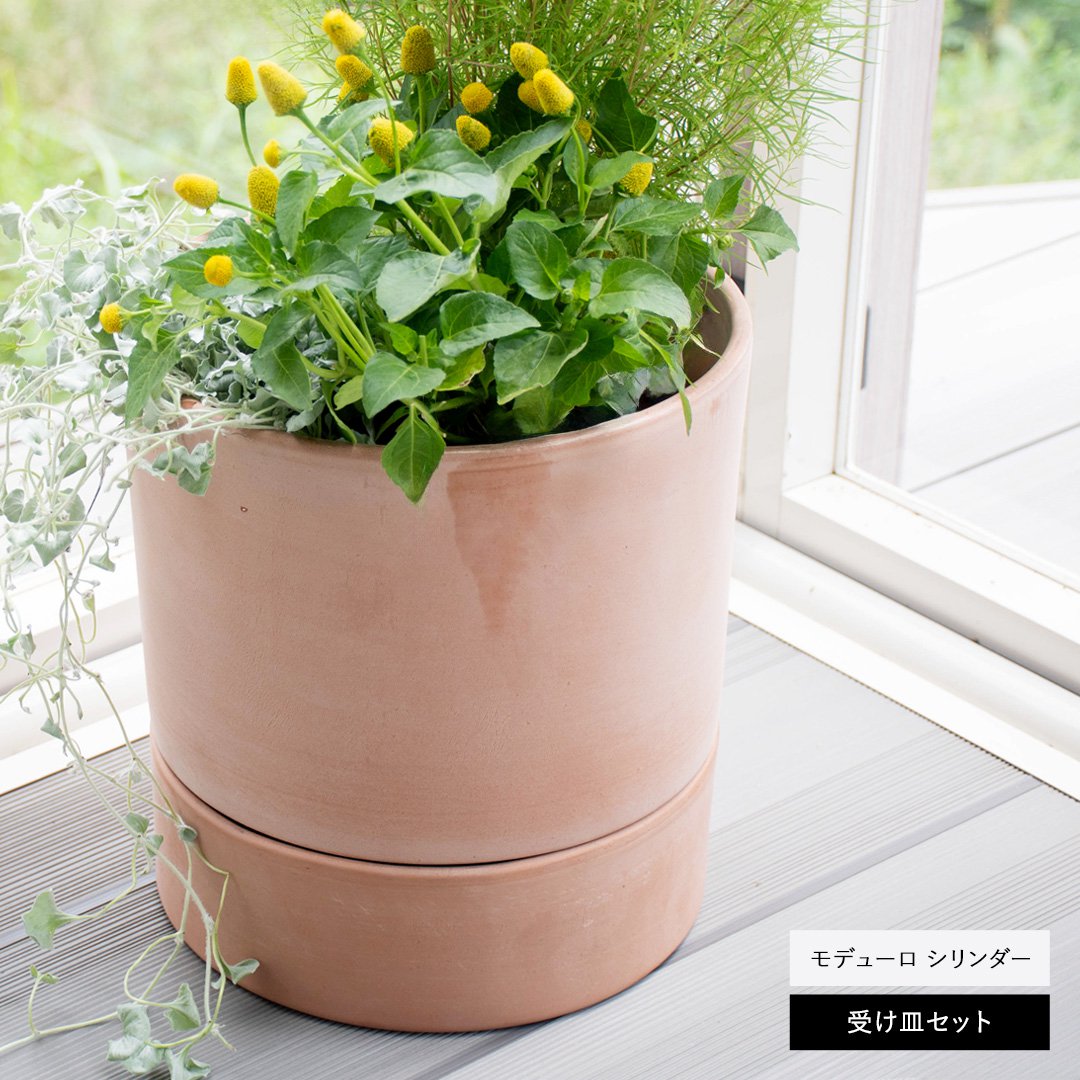 楽天市場】テラコッタ デローマ（植木鉢｜植木鉢・プランター
