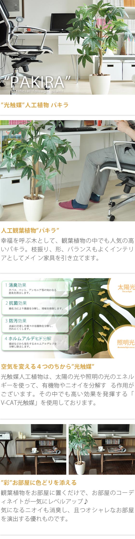 光触媒人工観葉植物パキラ | 家具・インテリア通販 【公式】エアリゾーム