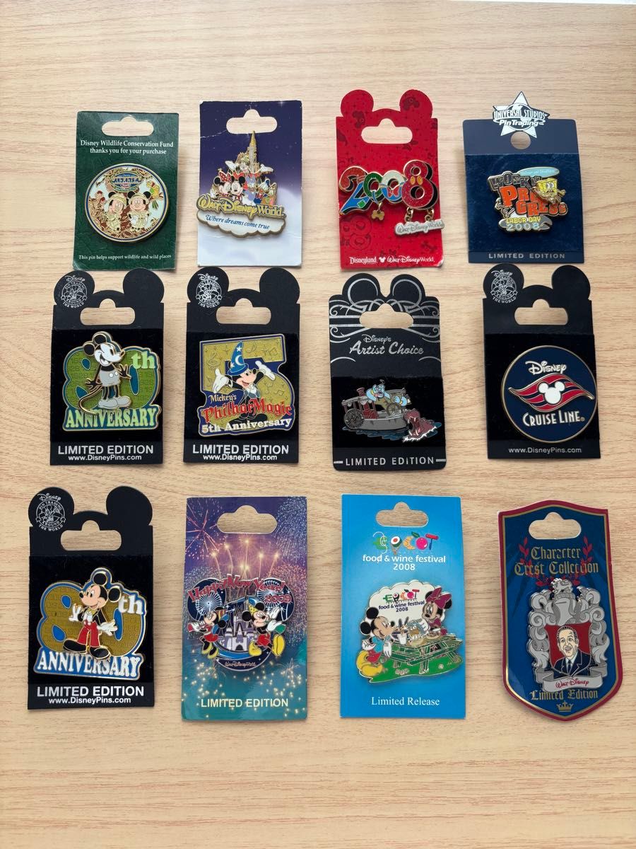 ディズニー 海外 パーク シンデレラ城 ピン バッジ バッチ 台紙 wdw