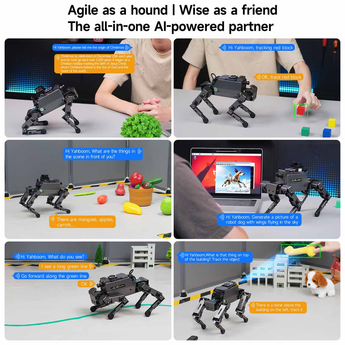 Robot_Dog_DOGZILLA_scene_displ