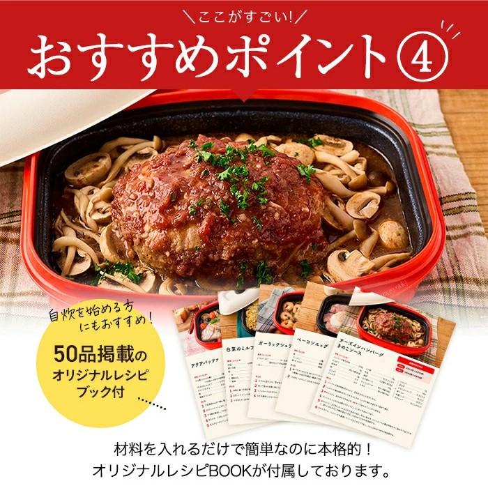 dinos（ディノス） レンジメートプロ 電子レンジ専用調理器 レンジで