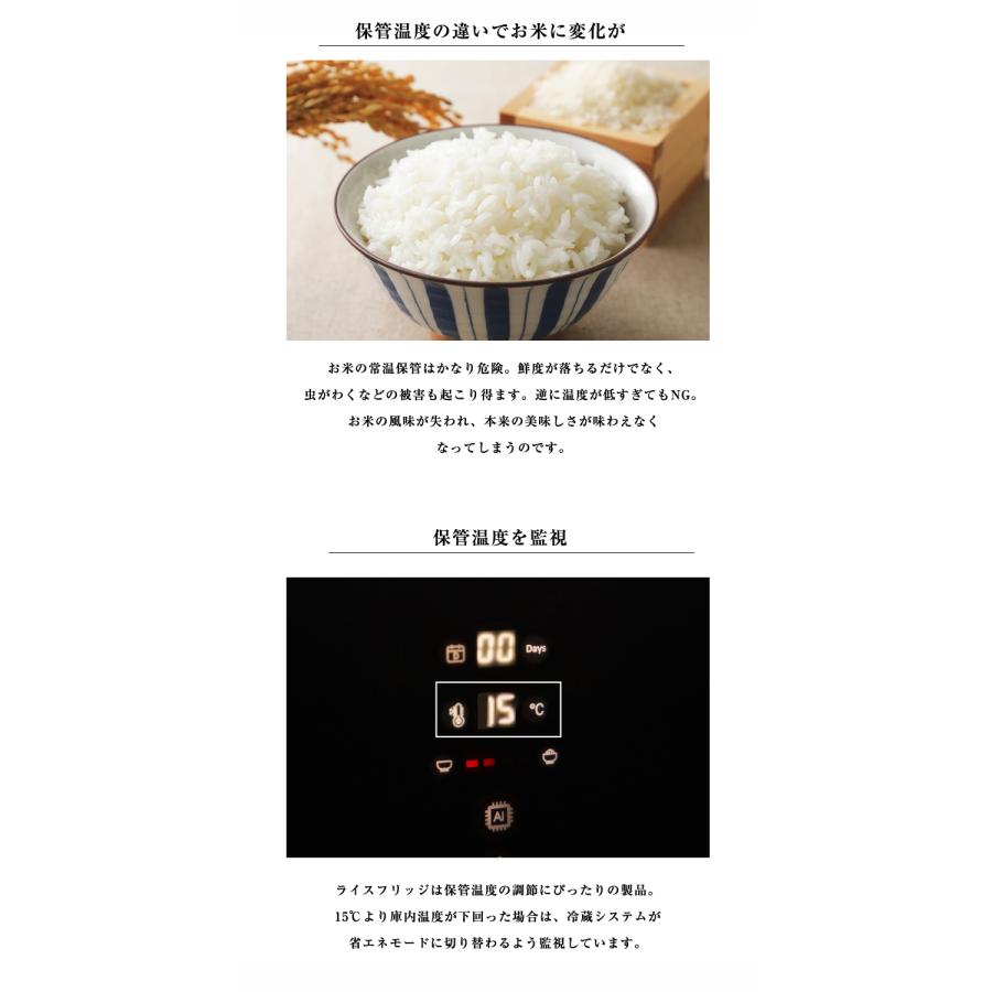 豪華特典付き ライスフリッジ モダン お米専用冷蔵庫 保冷米びつ 保冷