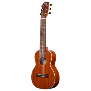 Ibanez（アイバニーズ） Ibanez EWP14WB-OPN (Open Pore Natural