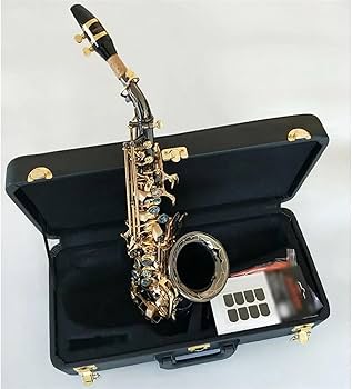 Amazon | サックス 黒 Bb 曲楽器ゴールデンキー湾曲したソプラノ