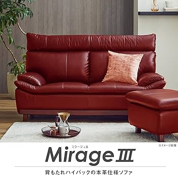 81smyhAZ-dL._AC_UF350,