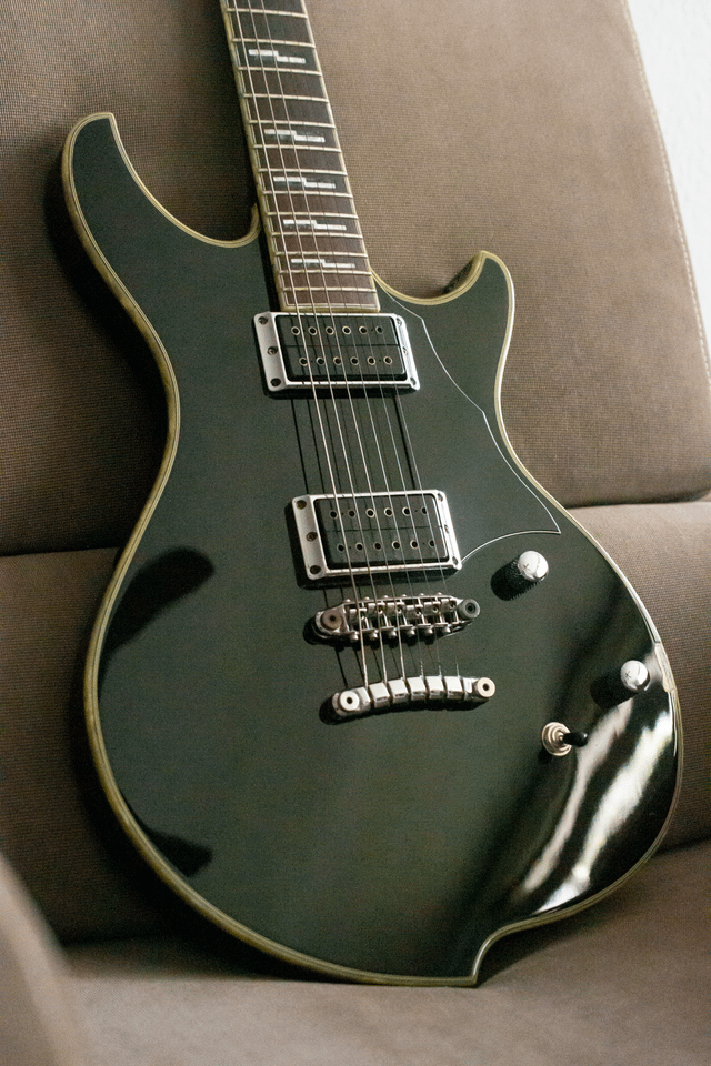 僕のIbanez DN500 BK 