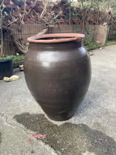 2026年最新】甕 メダカの人気アイテム - メルカリ