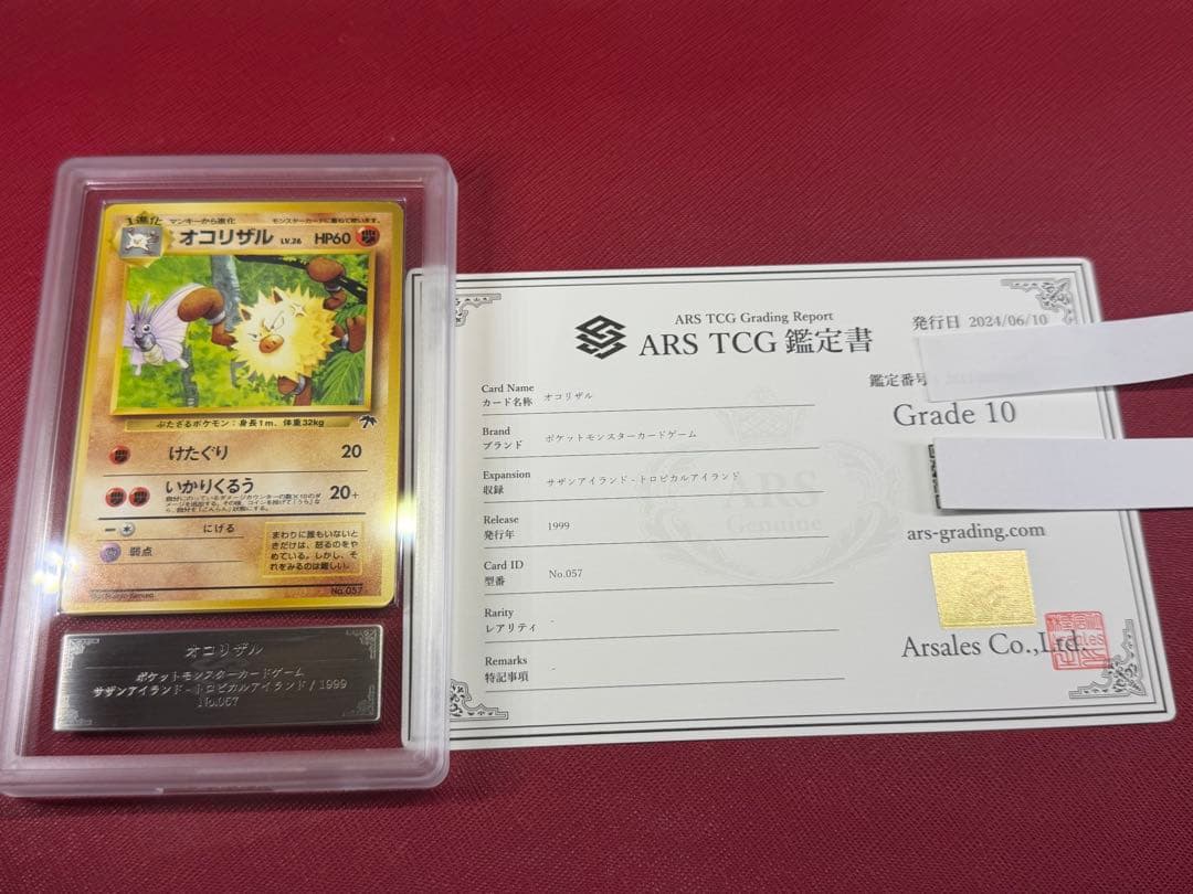 オコリザル 旧裏 サザンアイランド　ARS10 ARS10+オコリザル 旧裏 オコリザル 旧裏 サザンアイランド ARS10