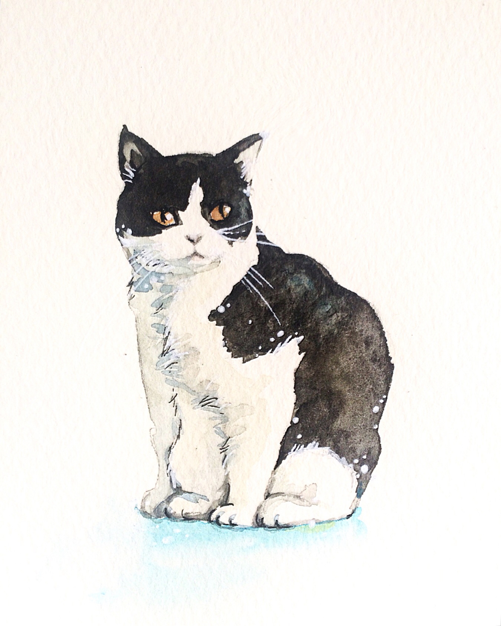 原画】 黄金の瞳の猫 - 動物水彩イラスト MUTSUKI watercolor | minne